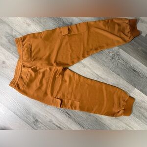 Banana Republic Women’s Copper Pants